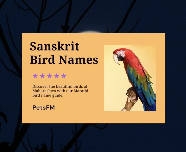100+ Bird Names In Sanskrit With Translation in English